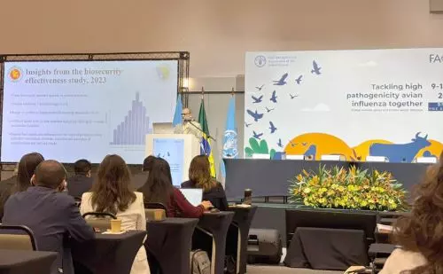 DEFESA AGROPECUÁRIA ][ Tocantins participa de fórum global para fortalecer a defesa sanitária avícola